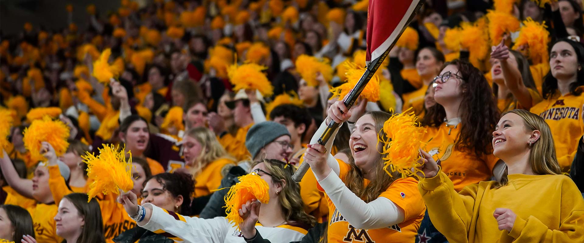 Fans in stands cheering