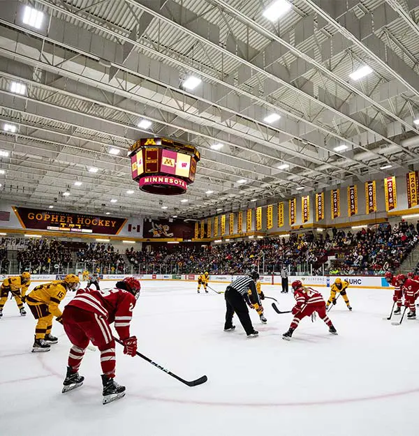 hockey players on the rink